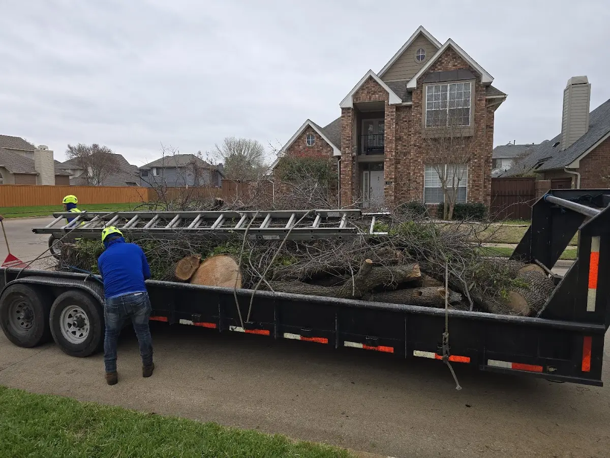 Expert Lot Clearing with proper safety equipment in Voluntown